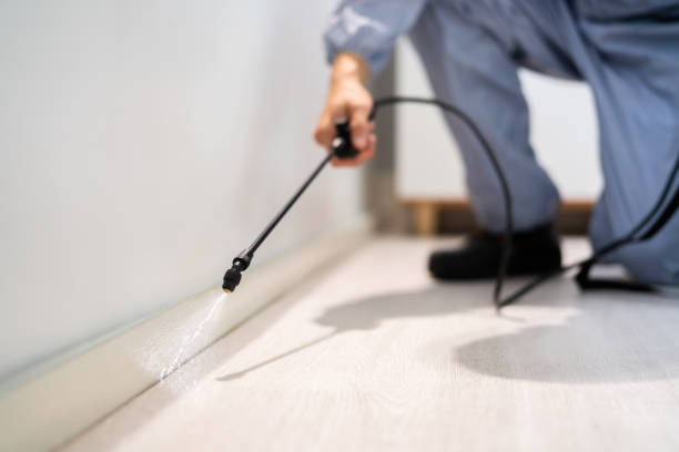 Professional exterminator conducting IPM assessment in Pearland