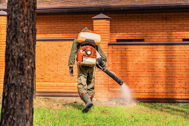 Cockroach Follow-Up and Monitoring in Pearland